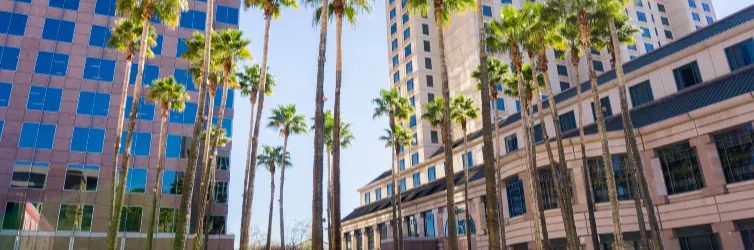 Techy tours of Silicon Valley